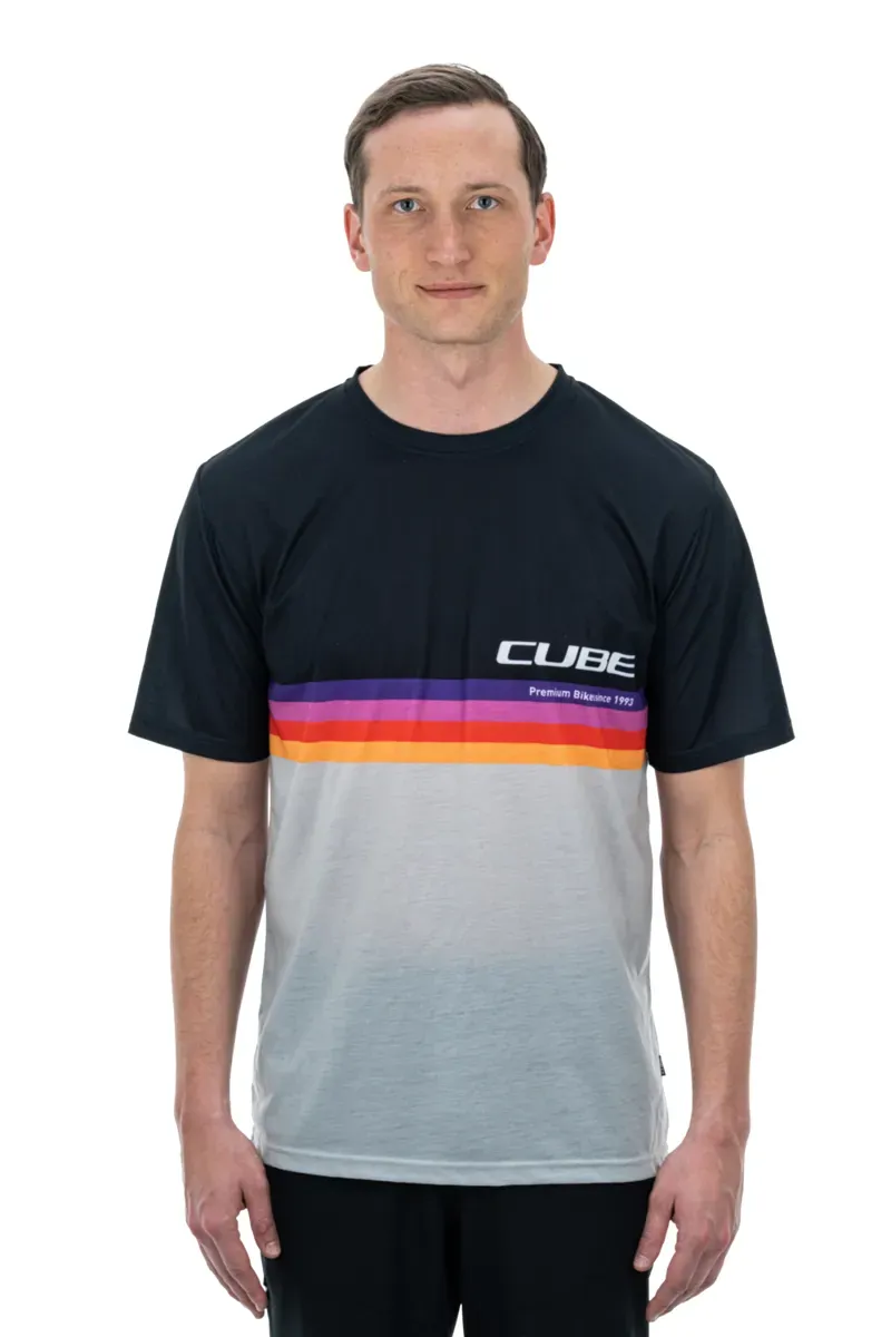 2022 Cube Logo Stripe Organic Mens T-Shirt in Black