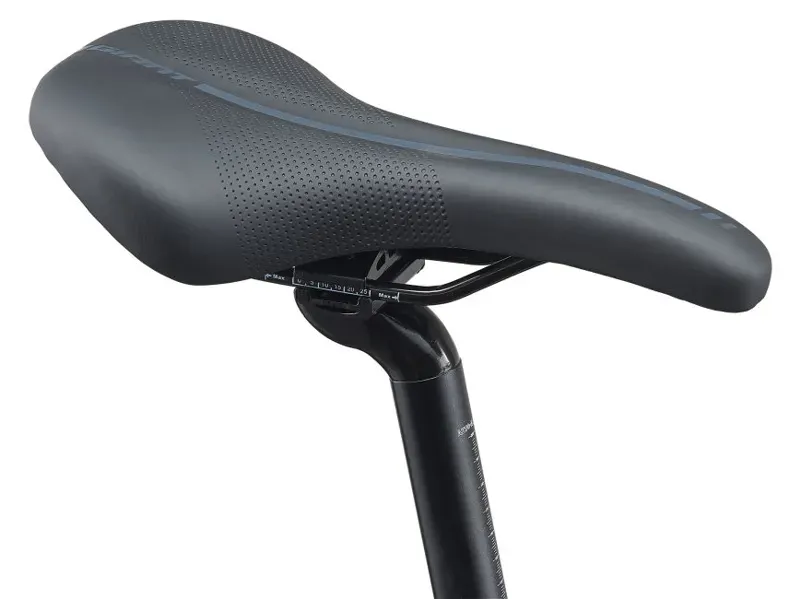 2021 Giant Escape 2 Disc Hybrid Bike in Grey-3