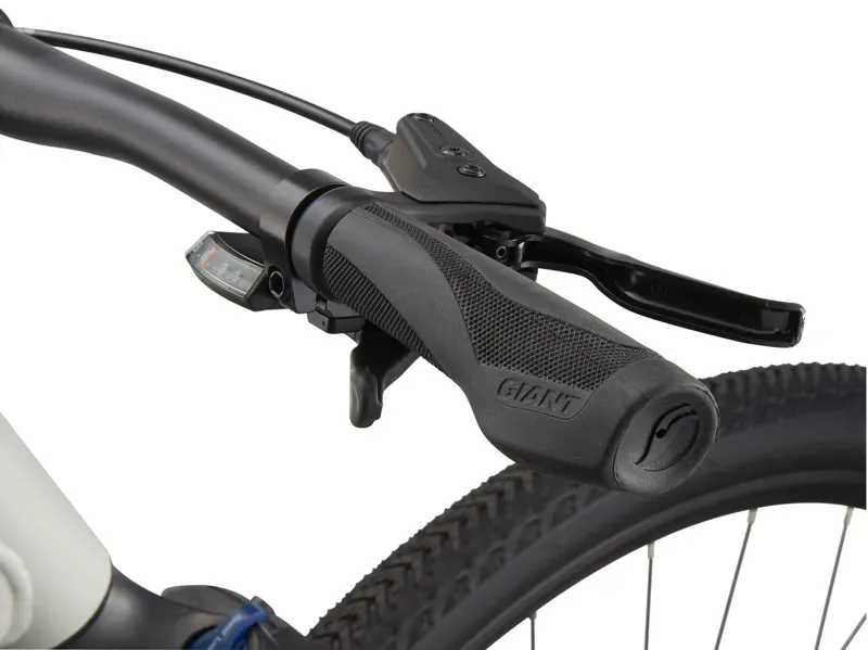 2021 Giant Roam 3 Disc Hybrid Bike in Grey-4