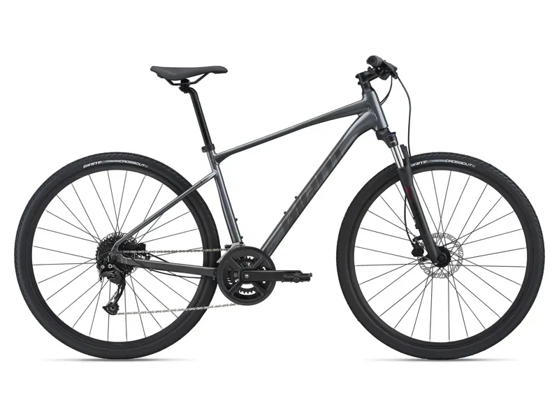 2021 Giant Roam 2 Disc Hybrid Bike in Grey