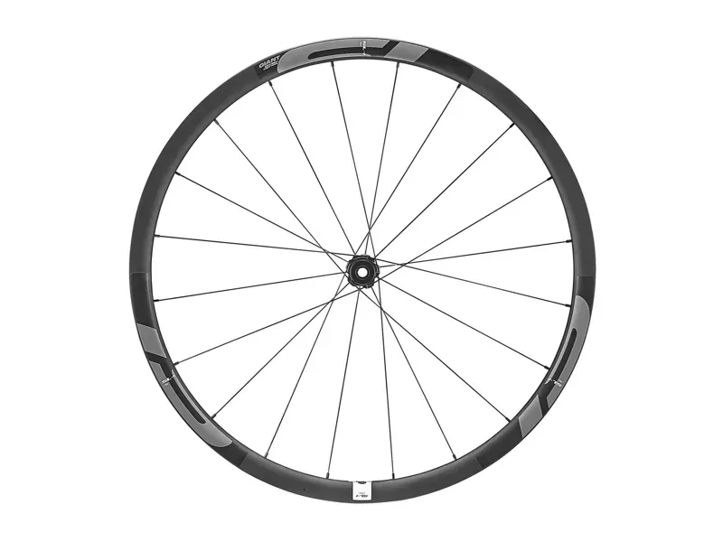 SL 1 Disc CenterLock RW Rear 700c