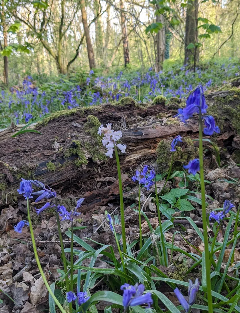 2020 Giant Patch Kit and Super Glue For Slik Tyre Repair in Black-1