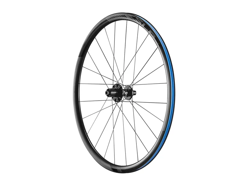 2020 Giant SLR 0 Disc Carbon Climbing Rear Wheel